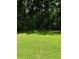 Yard with grassy area and large trees at 5595 Stagecoach Rd, Rex, GA 30273