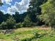 Partially cleared backyard with young trees and brush at 5595 Stagecoach Rd, Rex, GA 30273