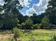 Overgrown backyard with trees and brush at 5595 Stagecoach Rd, Rex, GA 30273