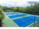 Well-maintained tennis courts surrounded by trees at 138 Stargaze Rdg, Canton, GA 30114