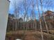 Wooded backyard with tall trees and partially cleared areas at 165 Cedarwood Ln, Roswell, GA 30075