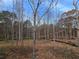 View of a backyard with tall, thin trees and undergrowth at 165 Cedarwood Ln, Roswell, GA 30075