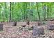 Stone fire pit surrounded by trees in wooded area at 1720 Mineral Springs Rd, Hoschton, GA 30548