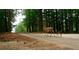 Doe and fawn walking on a paved road at 1720 Mineral Springs Rd, Hoschton, GA 30548