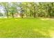 Expansive green lawn surrounded by mature trees, offering plenty of space and shade at 1417 Iris Lake Rd, Mcdonough, GA 30252