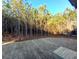 Large backyard with pine trees and a newly landscaped area at 136 Rainey Rd, Temple, GA 30179