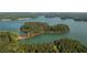 Ariel view of a large lake surrounded by wooded islands and lush greenery at 621 Silva St # 124, Cumming, GA 30040