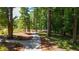 Wooded area with a walking path winding through trees and greenery, offering a serene experience at 362 Olmstead Way # 23, Alpharetta, GA 30002