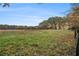 Open field with tall grass and scattered leaves at 5809 Warren Farm Sw Rd, Powder Springs, GA 30127