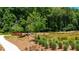 Picturesque community area with a tranquil pond and walking path, perfect for relaxation and outdoor enjoyment at 352 Olmstead Way # 28, Alpharetta, GA 30022