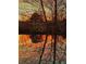 Scenic view of trees reflected in calm water at sunset, creating a peaceful and picturesque setting at 2867 Darlington Run, Duluth, GA 30097