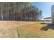 Partially wooded backyard with new sod at 125 Pinewood Dr, Covington, GA 30014