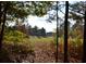 Scenic view of the meticulously maintained golf course surrounded by lush trees at 1007 Sycamore Ln, Villa Rica, GA 30180