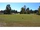 Expansive lush green golf course featuring manicured grass and beautiful scenery at 1007 Sycamore Ln, Villa Rica, GA 30180