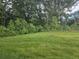 Expansive lawn space surrounded by lush green trees and foliage, perfect for outdoor enjoyment and privacy at 3405 Ripple Loop # 127, South Fulton, GA 30349