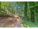 Scenic backyard path surrounded by lush greenery and mature trees, offering privacy and natural beauty at 5775 Lakeshore Dr, Buford, GA 30518