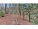 Natural backyard leading to the water with wooded trees and foliage at 5775 Lakeshore Dr, Buford, GA 30518