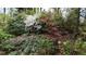 Beautiful landscaping with colorful azaleas, hostas, and a Japanese maple provide a lush and vibrant garden setting at 5775 Lakeshore Dr, Buford, GA 30518