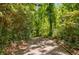 Driveway leading through a lush green wooded area at 5635 Lake Forrest Dr, Atlanta, GA 30342