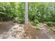 Natural wooded area featuring a mature tree and a mulch trail with a wooden border surrounded by green underbrush at 4055 Vinings Mill Se Trl, Smyrna, GA 30080