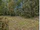 A view of the yard, showing an expansive space surrounded by trees at 2497 Mobley Se Ct, Atlanta, GA 30315
