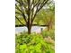 Scenic view of the community pool with mature trees, creating a serene and inviting atmosphere at 306 Mountain Laurel Walk, Canton, GA 30114