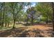 Expansive view of the backyard of the home, surrounded by mature trees providing ample shade at 294 Puckett Se Rd, Emerson, GA 30137