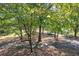 Picturesque view of backyard showcasing lush greenery, mature trees, and a serene walking path at 294 Puckett Se Rd, Emerson, GA 30137