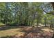 Wide shot of the backyard with large trees and an open grassy area perfect for outdoor activities at 294 Puckett Se Rd, Emerson, GA 30137
