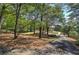 Long driveway leading to the property with picturesque views of the surrounding greenery and landscape at 294 Puckett Se Rd, Emerson, GA 30137