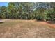 Large front yard featuring a long driveway and mature trees at 294 Puckett Se Rd, Emerson, GA 30137