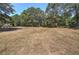 Sprawling front yard of the property with extensive green space, trees, and a long driveway at 294 Puckett Se Rd, Emerson, GA 30137