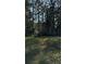 Wooded backyard with tall trees and grassy area at 130 Taunton Rd, Covington, GA 30014