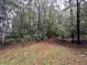 Private backyard with lush trees and a grassy area at 1824 Thornhill Se Pass, Conyers, GA 30013