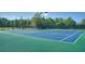 Two well-maintained tennis courts with green and blue surfaces at 202 Fountain Oak Way, Canton, GA 30114