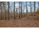 Picture of wooded backyard with fence in the background at 3160 Mill Springs Cir, Buford, GA 30519