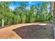 Large backyard with wooded backdrop, ideal for outdoor activities and enjoying nature at 107 Marks Way, Canton, GA 30115