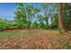 Large backyard with scattered leaves and tranquil scenery at 4599 Park Dr, Pine Lake, GA 30083