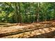 Serene wooded area with natural ground cover and trees at 5440 Shady Grove Rd, Cumming, GA 30041