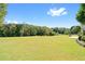 Expansive backyard featuring green lawn and surrounding trees at 8150 Albritton Downs, Cumming, GA 30041