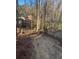 Sloped backyard with leaf covered ground at 7592 Watson Kaye, Stone Mountain, GA 30087