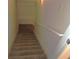 Carpeted stairs with a white handrail lead to the lower level at 434 Spring Leaf Dr, Dallas, GA 30157