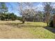 A sprawling backyard with lush green grass and a beautiful tree blossoming under a blue sky at 2420 Green Rd, Loganville, GA 30052
