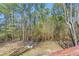 A private backyard with lush greenery, mature trees, and a chain-link fence for added security at 2420 Green Rd, Loganville, GA 30052