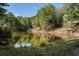 Pond surrounded by dense woods and grass at 940 Waters Reach Ct, Alpharetta, GA 30022