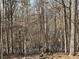 View of the wooded backyard offering privacy and a natural setting at 90 Hammock Dr, Covington, GA 30016