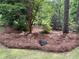 Turtle resting in a natural landscape with tall trees and lush greenery at 6054 Nebo Rd, Hiram, GA 30141
