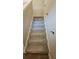 Carpeted stairs feature white risers and black hardware accents, with plastic tread protection for a pristine look at 724 Vinson Mountain Crossing Rd, Rockmart, GA 30153