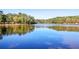 Serene lake with tree-lined shores and a wooden bridge at 1979 Spivey Village Dr, Jonesboro, GA 30236