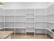 Walk-in pantry with plenty of shelves at 1387 Mineral Springs Rd, Hoschton, GA 30548
